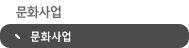문화사업